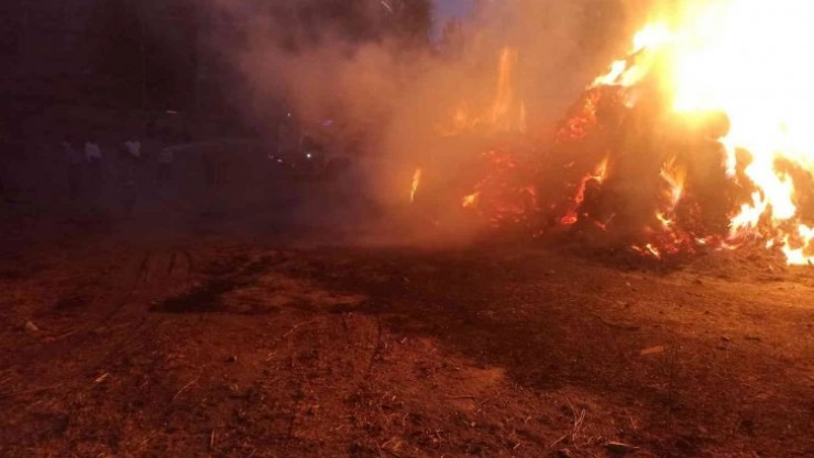 Başkale'de 5 bin bağ ot yandı