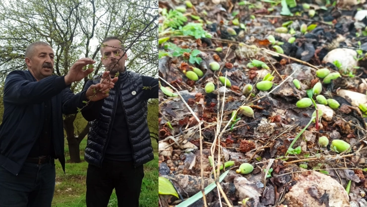 Başkan Karademir: 'Zarar büyük'