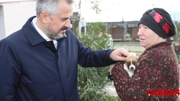 Başkan Kılıç: 'Hayvanlar bize Allah'ın emaneti'