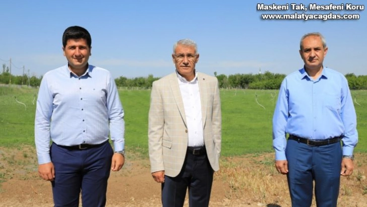 Battalgazi Belediyesi rulo çim üretim tesisi kurdu