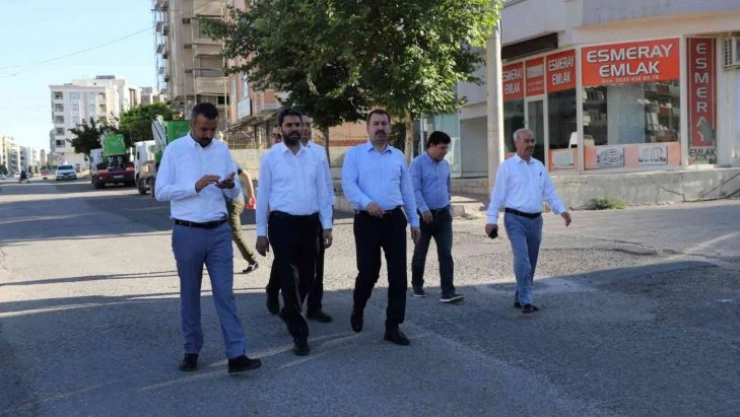 Baydilli saha çalışmalarını sürdürüyor