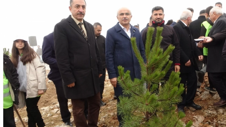 Beydağı'nın etekleri 10 bin 444 ağaçla geleceğe nefes oldu