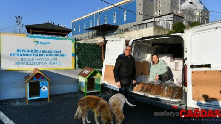 Beylikdüzü Hayvan Bakımevi'ne 500 kilo mama bağışı