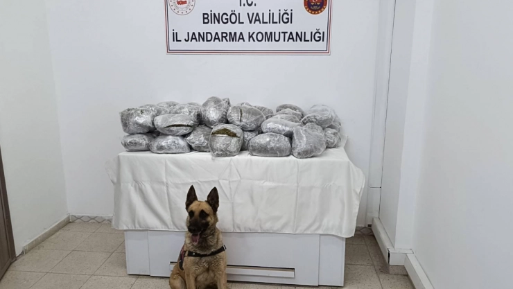 Bingöl'de 49 kilo 600 gram esrar ele geçirildi