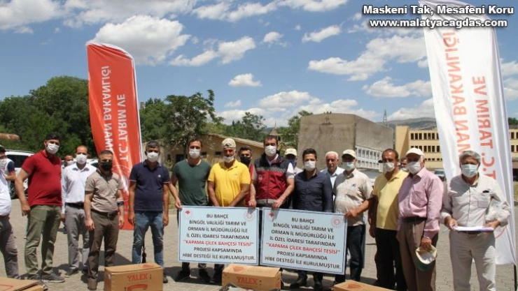 Bingöl'de çiftçilere hibeli çilek fidesi dağıtıldı