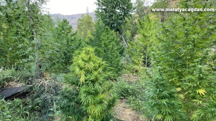 Bingöl'de çok miktarda uyuşturucu ele geçirildi