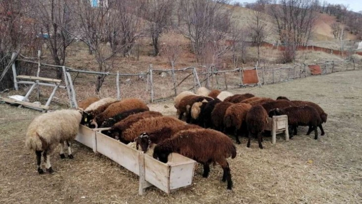 Bingöl'de üreticilere 3 milyon lira destek verildi