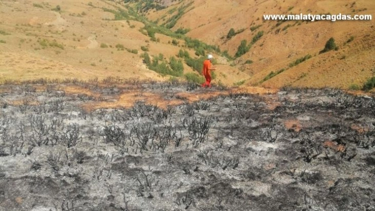 Bingöl'deki yangın ormanlık alana sıçramadan söndürüldü