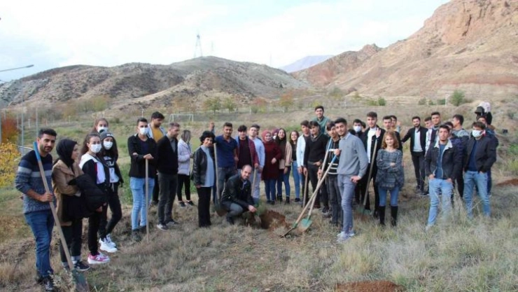 Bir fidan da sen dik