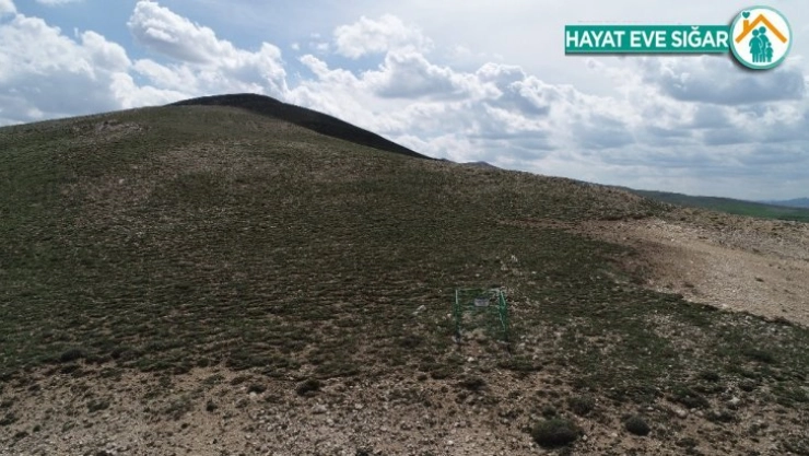 Bozkırın ortasında tek mezar, görenler anlam veremiyor