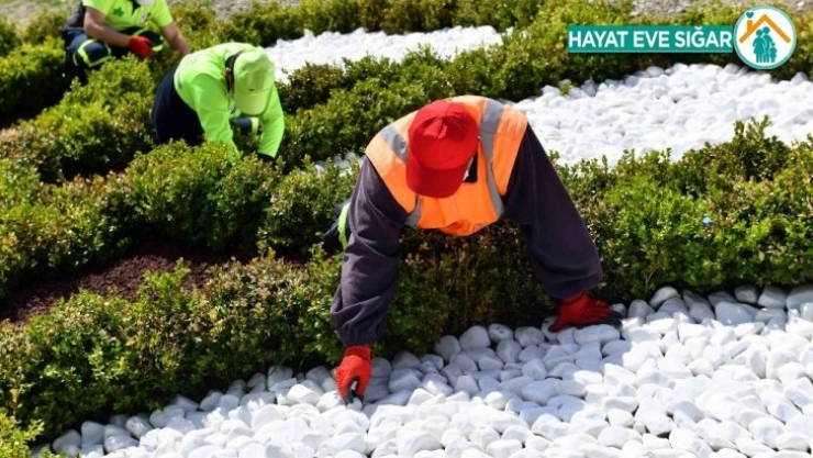 Büyükşehir'den kuru peyzaj