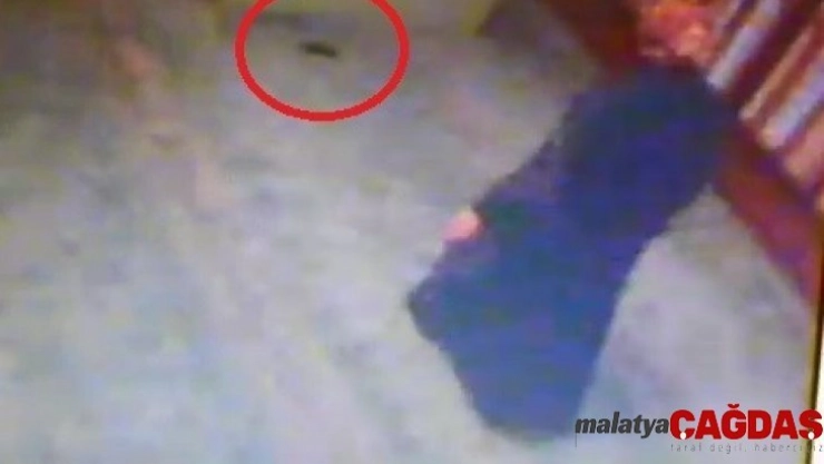 Camide unutulan cep telefonunu böyle çaldı