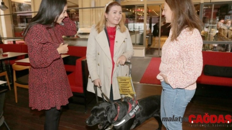 Çankaya'dan rehber köpek farkındalığına destek