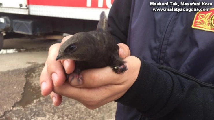 Çatıda mahsur kalan kuşları itfaiye kurtardı