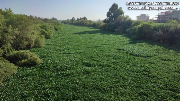 Çayır değil nehir