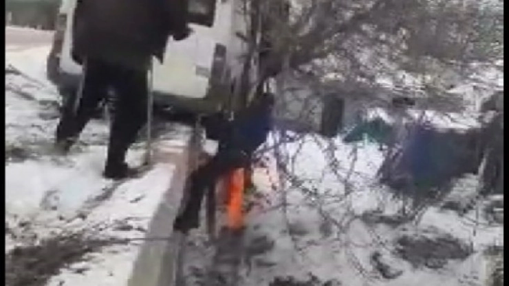 Ceviz ağacı hayatını kurtardı