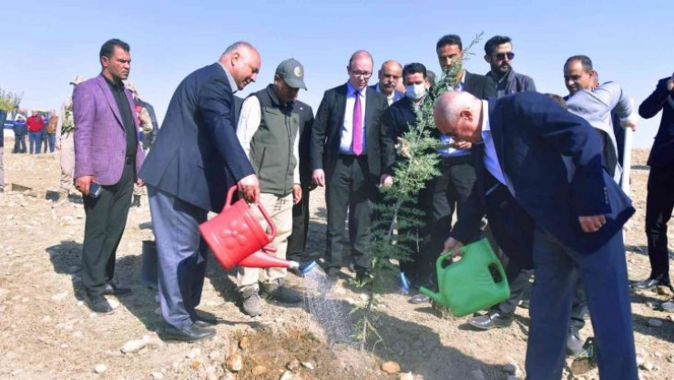 Ceylanpınar'da 23 bin fidan toprakla buluştu