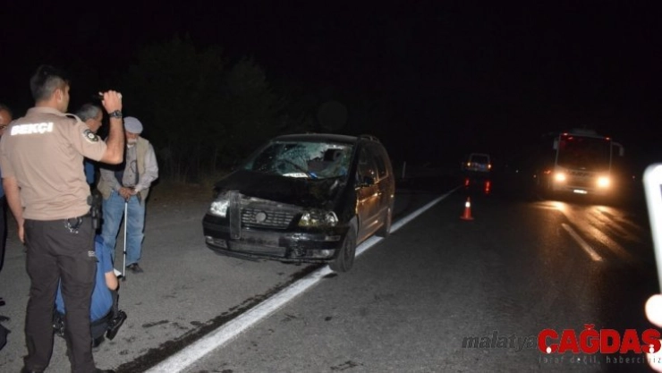 Çiftlikten kaçan yarış atları şehirler arası yolda trafiği birbirine kattı