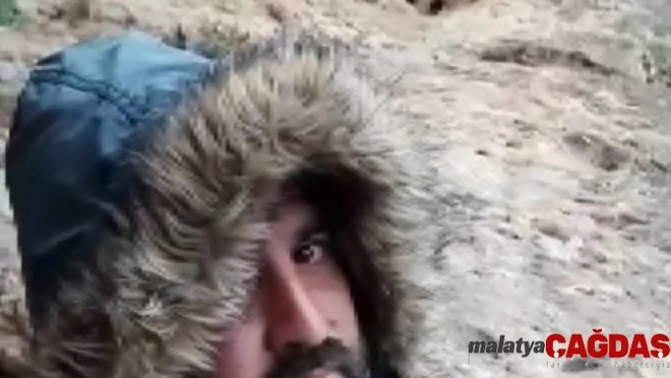 Çizgili sırtlan ile özçekim