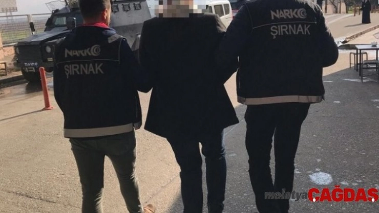 Cizre'de torbacılık yapan bir kişi tutuklandı