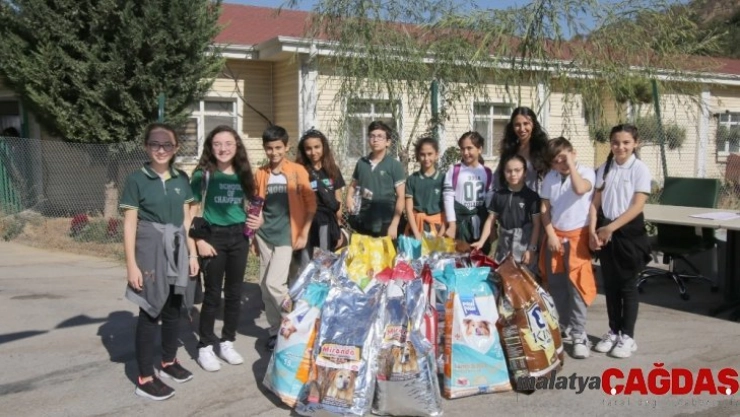 Çocuklar sokak hayvanları için çaldı