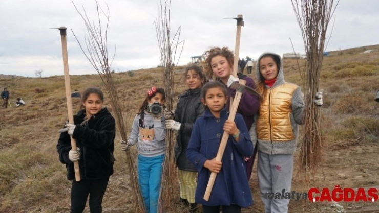 Çocuklar yüzlerce fidanı doğayla buluşturdu