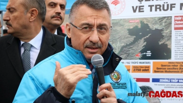 Cumhurbaşkanı Yardımcısı Oktay: 'Yerelden kalkınma olmazsa ulusal anlamda kalkınmayı başaramayız'