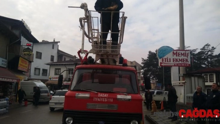 Daday İtfaiyesinden kedi mesaisi