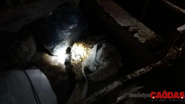 Dağ keçilerini vuran baba-oğul yakalandı, 50 bin TL ceza kesildi