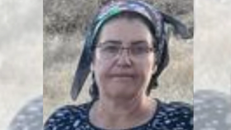 Darende'de Talihsiz Kaza: Havuza Düşen Kadın Hayatını Kaybetti