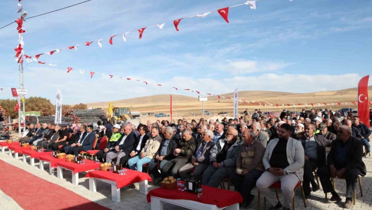 Yerli patates tohumu şenliği düzenlendi