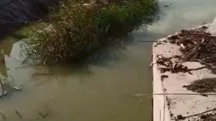 Dere yatağında 3 gün mahsur kalan köpek, itfaiye ekipleri tarafından kurtarıldı