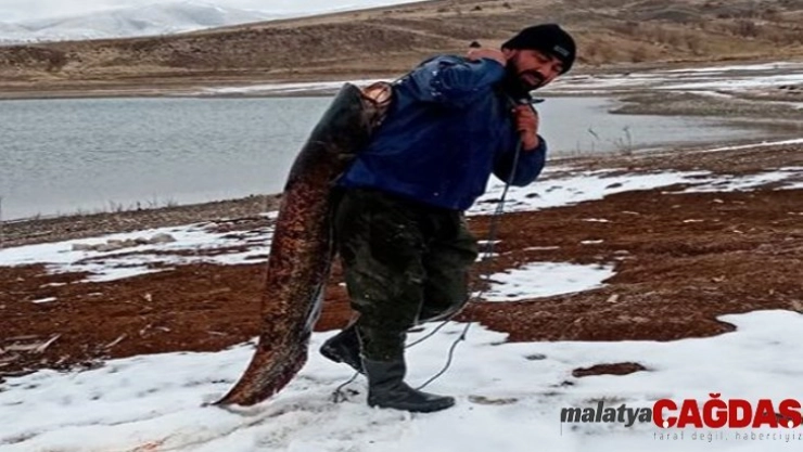 Dev canavarı böyle taşıdı