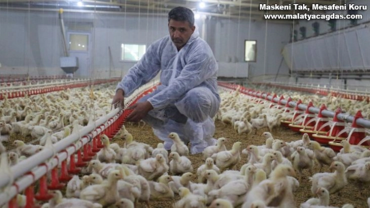 Devlet desteği ile çiftlik kurdu, yılda 300 bin TL kazanmaya başladı