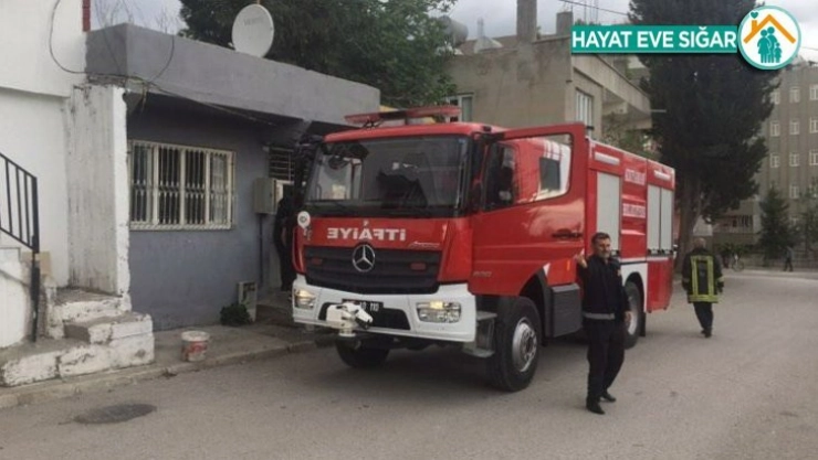 Devrilen ısıtıcı kuşların ölümüne neden oldu