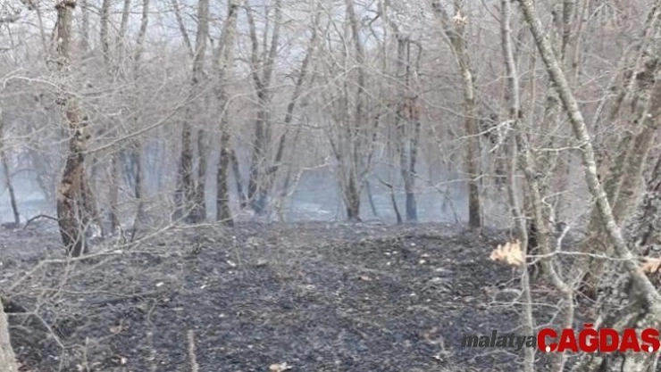 Dikmen'de orman yangını