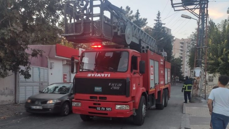 Direğin tepesinde mahsur kalan kedi kurtarıldı