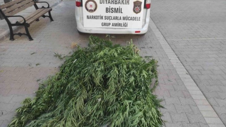 Diyarbakır'da 'huzur uygulaması': Silah ve uyuşturucu ele geçirildi