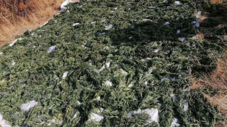 Diyarbakır'da 1 ton 817 kilogram esrar ele geçirildi