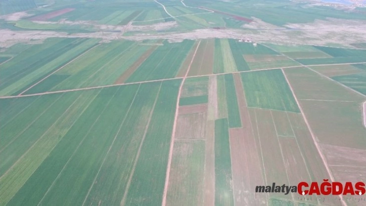 Diyarbakır'da 40 bin 550 dekar alan toplulaştırıldı