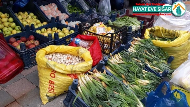 Doğal antibiyotik olan çiriş otu pazardaki yerini aldı