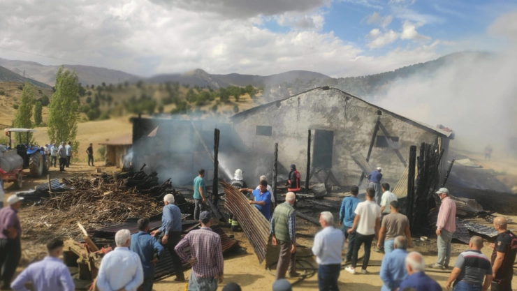 Doğanşehir'de Ahır Yangını: 10 Hayvan Telef Oldu
