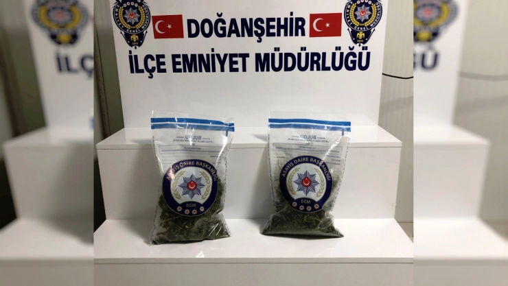 Doğanşehir'de Uyuşturucu Operasyonu: 1 Kişi Tutuklandı
