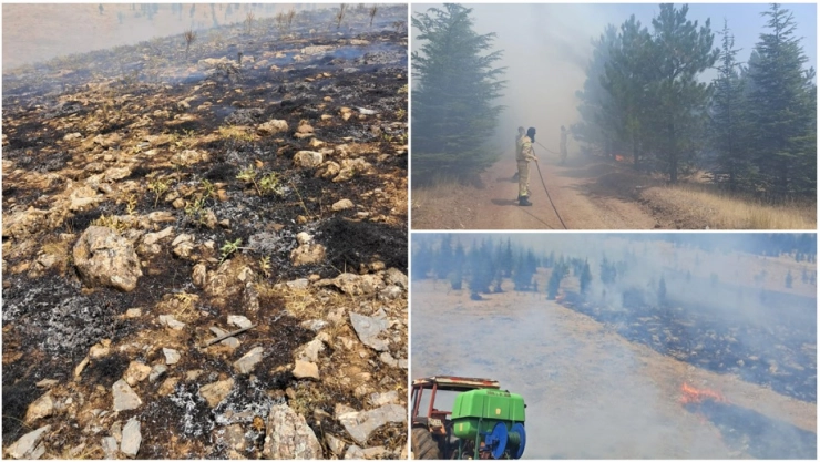 Doğanşehir Güzelköy'de Orman Yangını: Müdahale Sürüyor