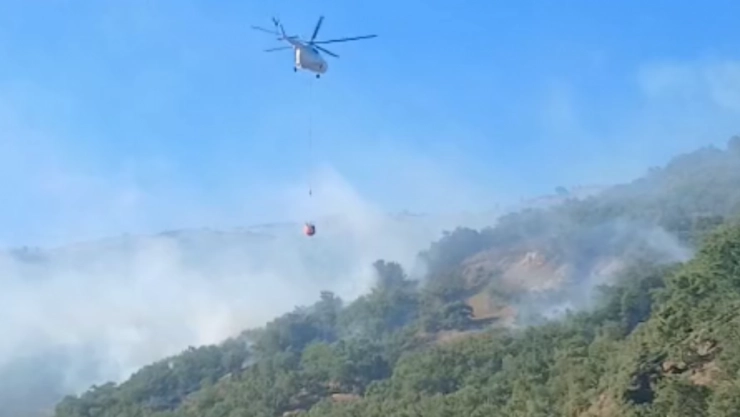 Doğanyol'da çıkan orman yangını kontrol altına alındı
