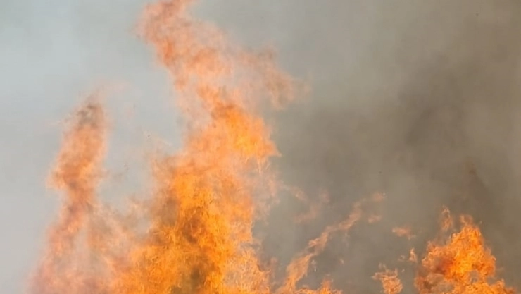 Doğanyol'da Orman Yangını: Söndürme Çalışmaları Sürüyor