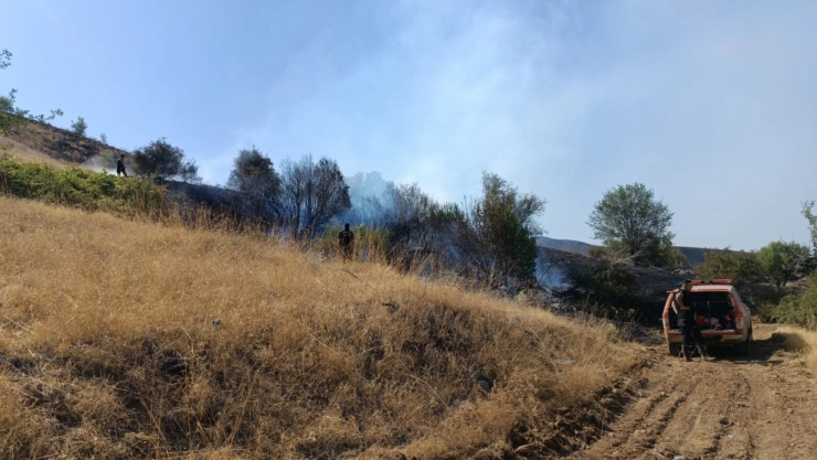 Doğanyol Yalınca'da Orman Yangını: İtfaiye Ekipleri Müdahale Ediyor