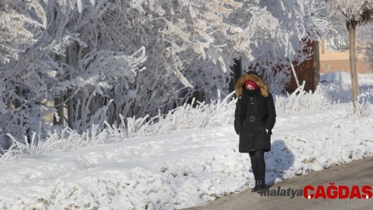Doğu Anadolu'da dondurucu soğuklar etkili oluyor