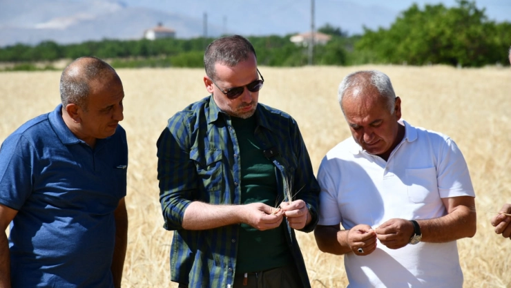 Dondan Zarar Gören Çiftçi Destek Bekliyor