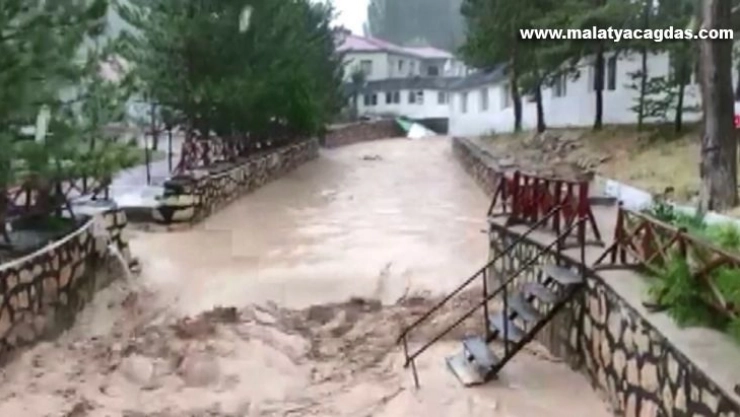 Dünyaca ünlü Doktor Balıklar sele teslim oldu